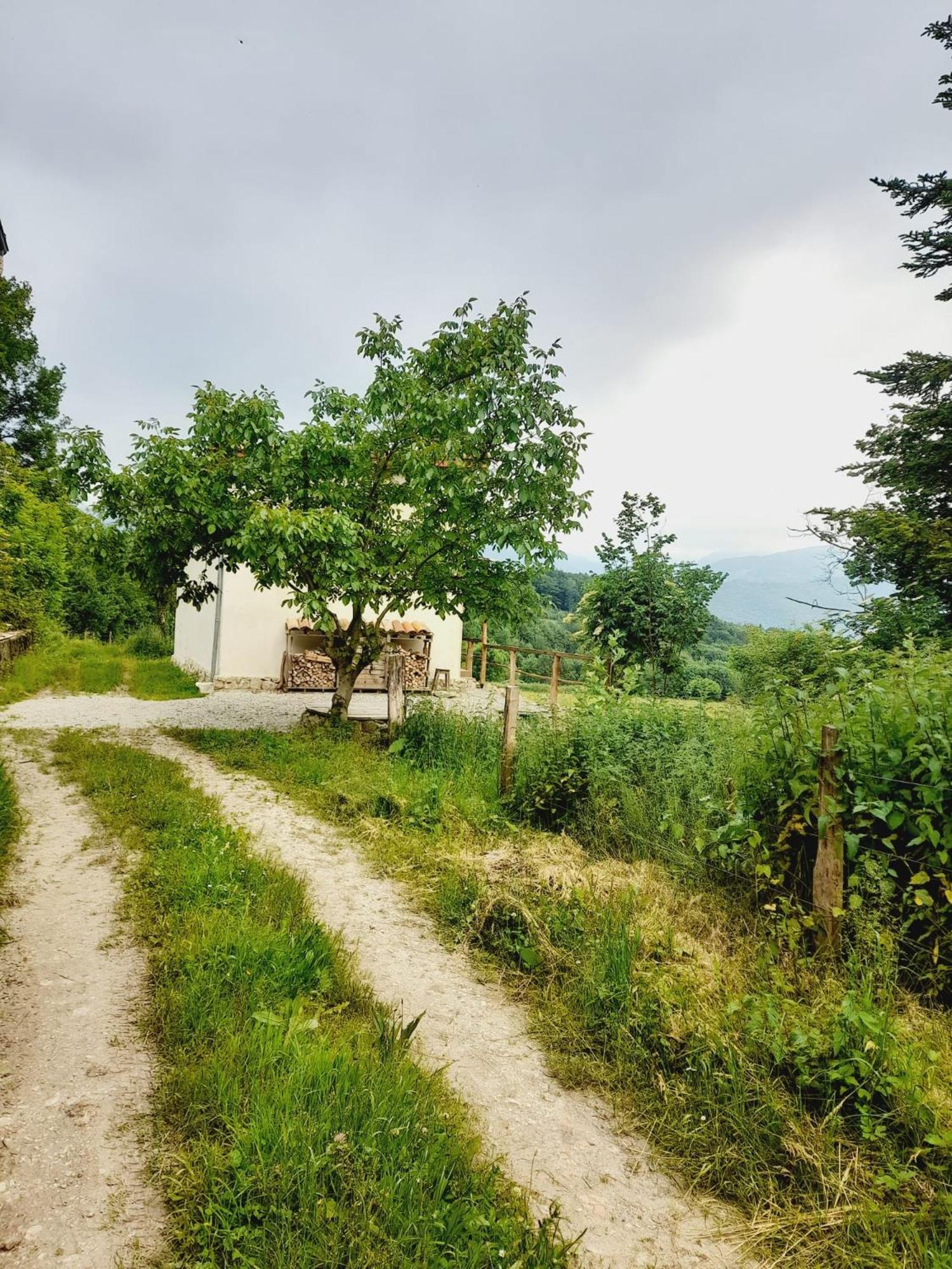 Holiday home Cozy Tiny House - A D'en Pereille